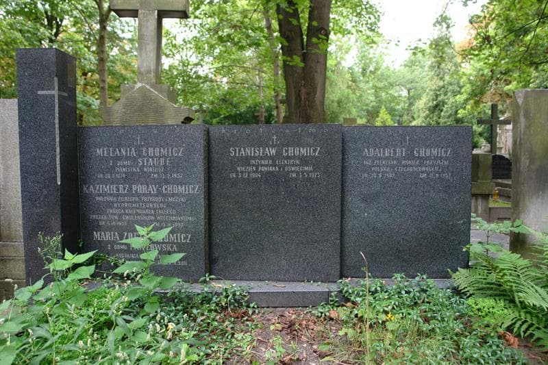 Zdjęcie grobu Stanisław Chomicz (2)