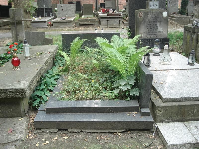 Zdjęcie grobu: Maria Jaźwińska