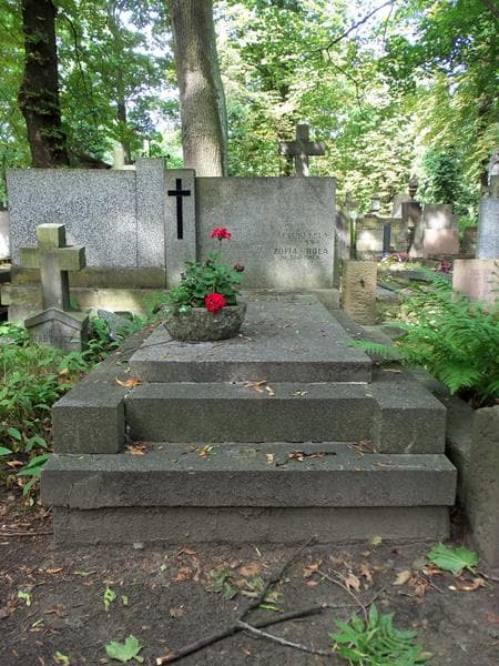 Zdjęcie grobu: Witold Butkis