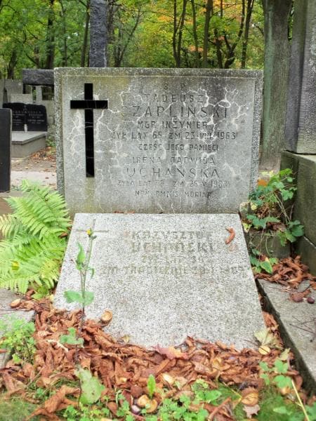 Zdjęcie grobu Tadeusz Czapliński (2)