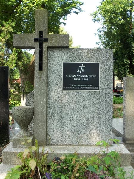 Zdjęcie grobu Stefan Namysłowski (2)