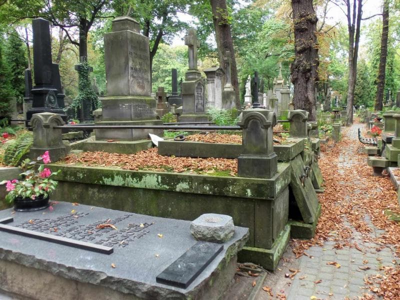 Zdjęcie grobu Emilja Gomólińska (1)