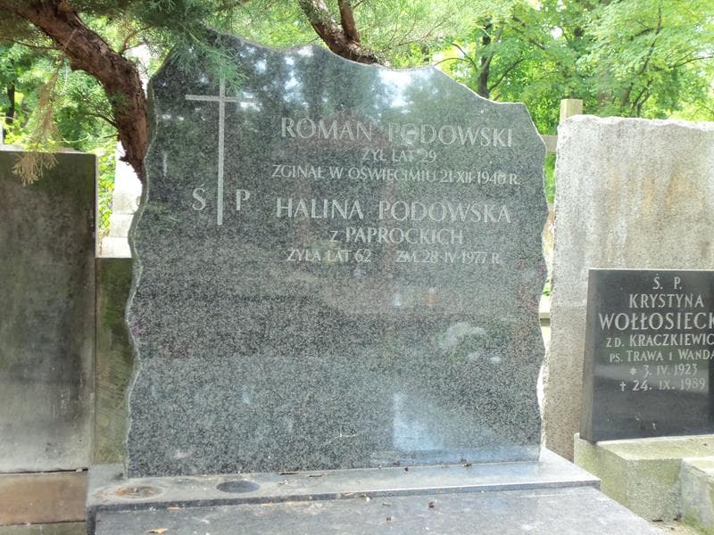 Zdjęcie grobu Halina Podowska (2)