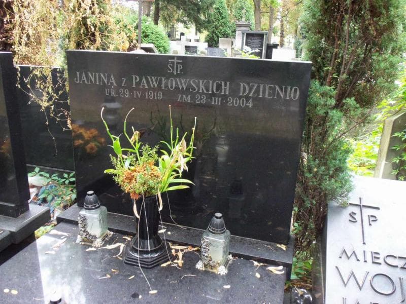 Zdjęcie grobu Janina Dzienio (1)