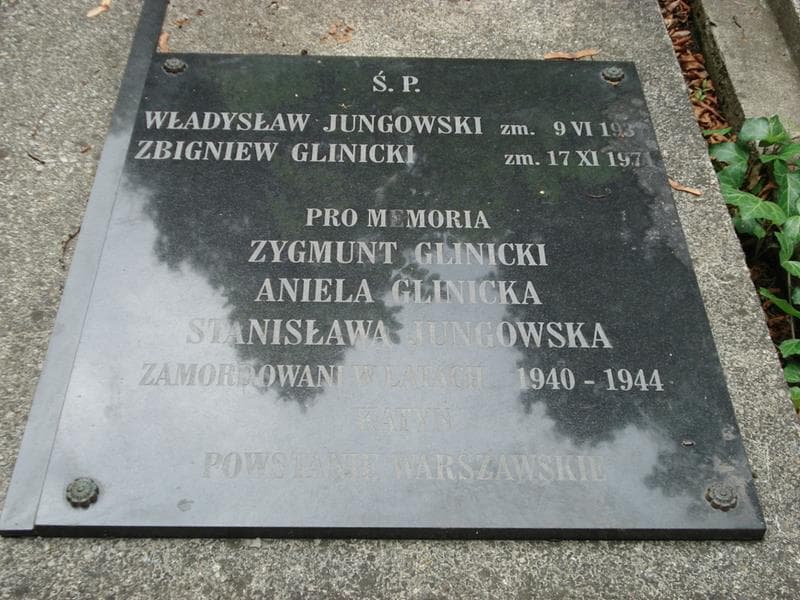 Zdjęcie grobu Stanisława Jungowska (2)
