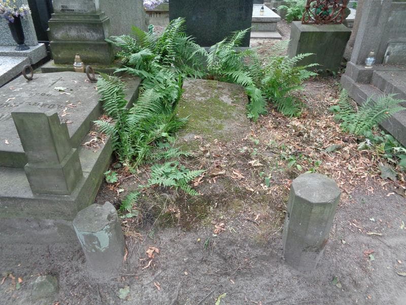 Zdjęcie grobu Julia Bujalska (1)