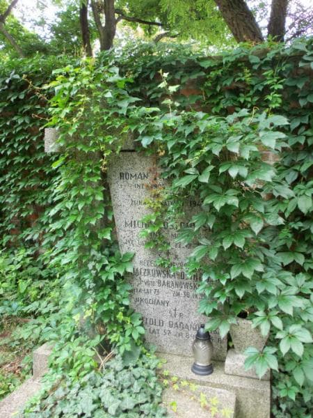 Zdjęcie grobu Witold Baranowski (2)