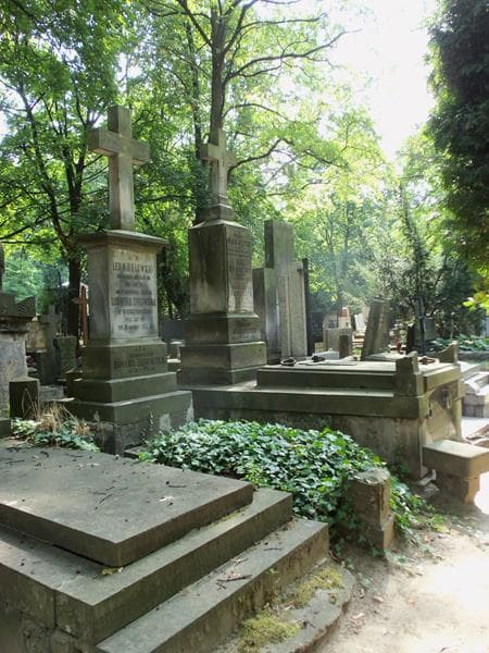Zdjęcie grobu Romana Żurowska (1)