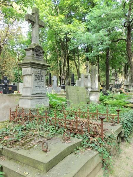 Zdjęcie grobu Józef Nowicki (1)