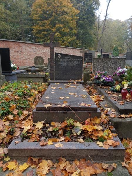 Zdjęcie grobu Ludwika Kołodzińska-Domaradzka (1)