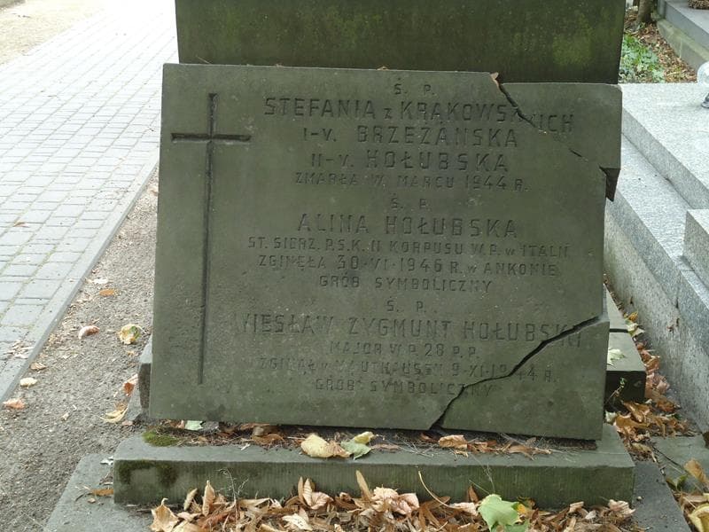Zdjęcie grobu Wiesław Zygmunt Hołubski (2)