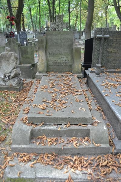 Zdjęcie grobu Leonard Pecyna (1)