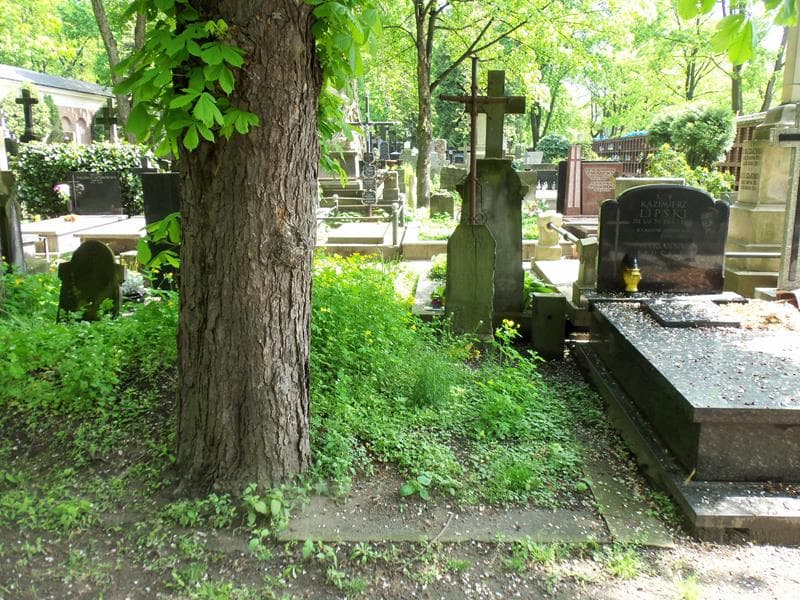 Zdjęcie grobu: Klementyna Jażdżyk