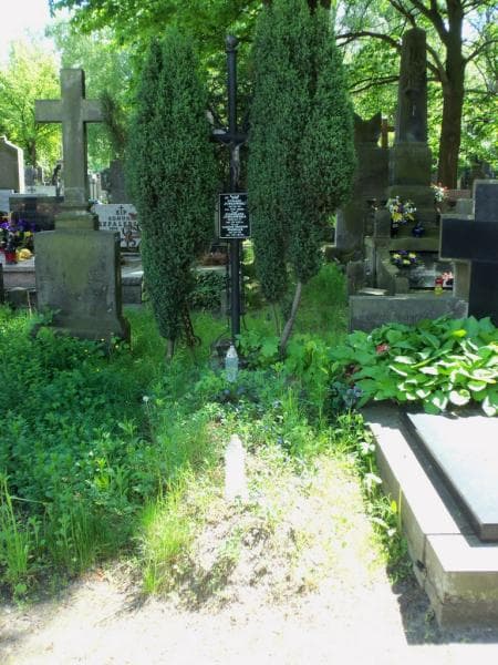 Zdjęcie grobu: Tadeusz Zbigniew Wasilus