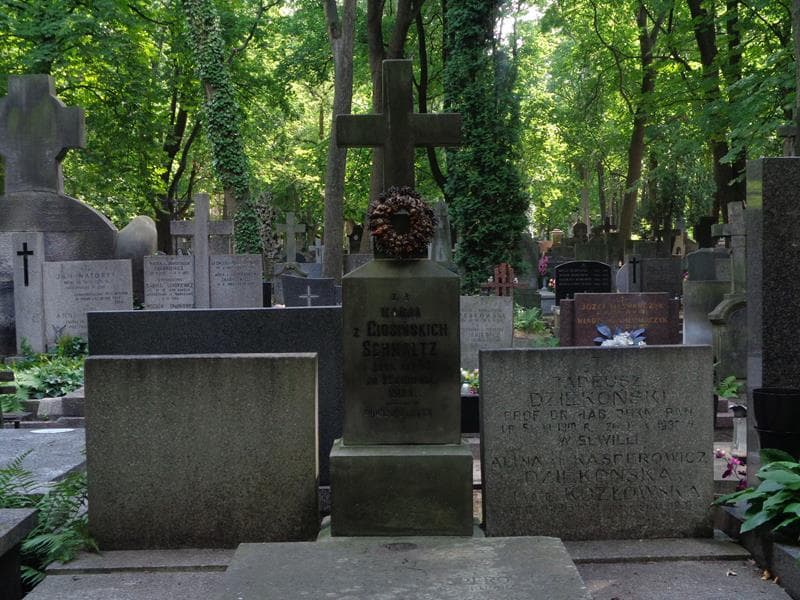 Zdjęcie grobu Janina Anna Jaśkiewicz (2)