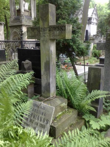 Zdjęcie grobu Antoni Pawłowski (1)