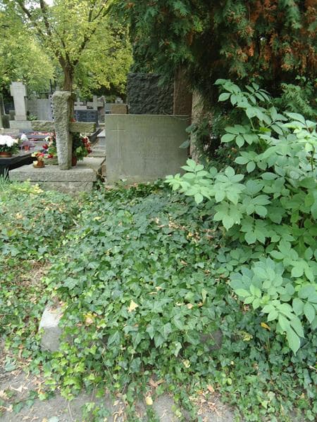 Zdjęcie grobu: Leszek Guzicki