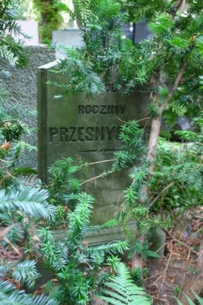 Zdjęcie grobu Przesmyccy (1)
