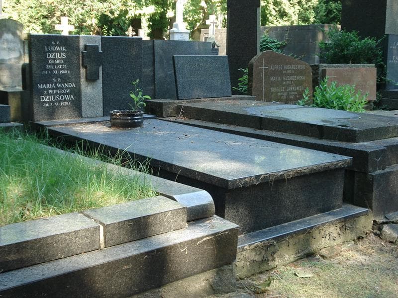Zdjęcie grobu Ludwik Dzius (1)