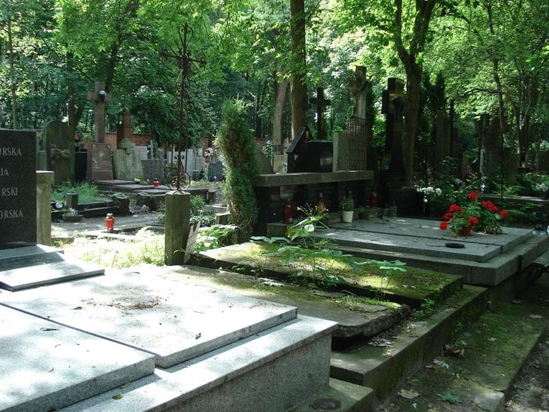 Zdjęcie grobu Julia Lubańska (1)