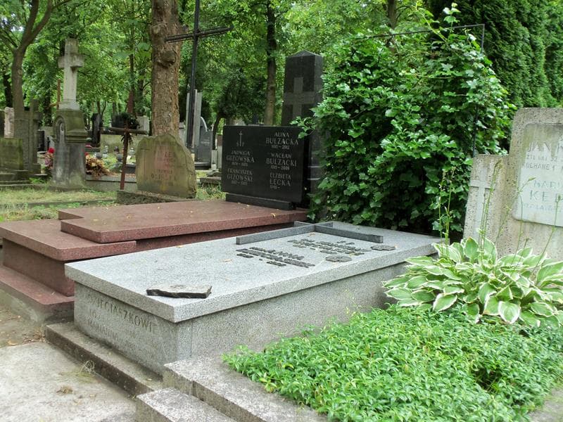 Zdjęcie grobu Anna Dzieciaszek (2)