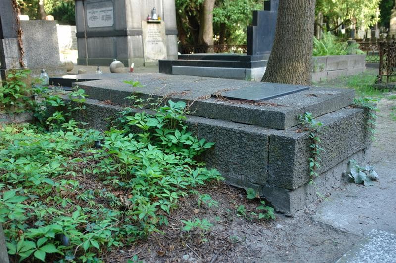 Zdjęcie grobu Edward Michałowski (2)