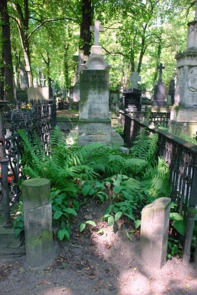Zdjęcie grobu Zofia Rutkiewiczowa (1)