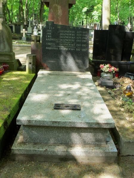 Zdjęcie grobu: Jan Dłużniewski