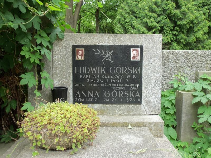 Zdjęcie grobu Anna Górska (2)