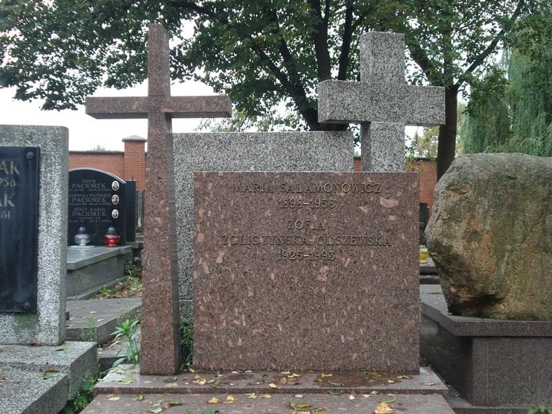 Zdjęcie grobu Zofia Zgliczyńska-Olszewska (2)