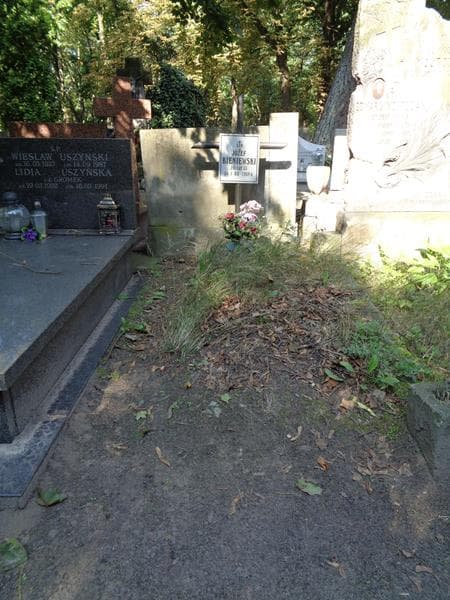 Zdjęcie grobu: Józef Bieniewski