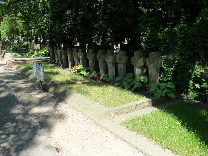 Zdjęcie grobu Stanisław Majewski (2)