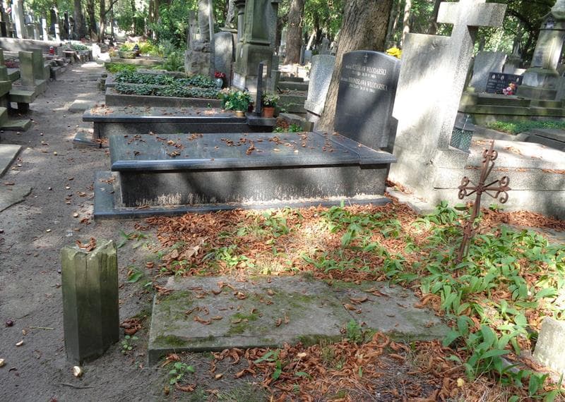 Zdjęcie grobu Pole Grobowe / Anonim (2)