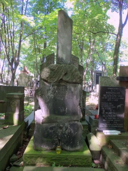 Zdjęcie grobu Antonina Tomczyk (2)