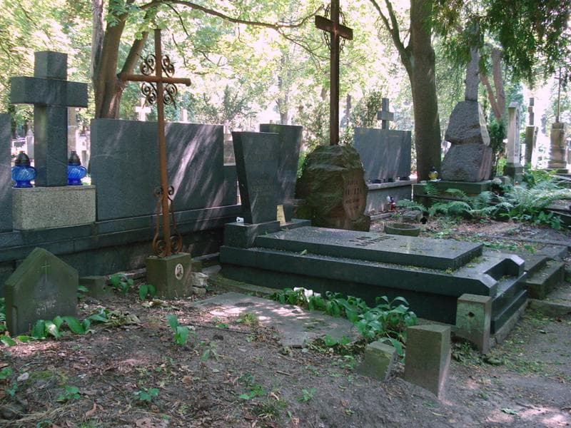 Zdjęcie grobu: Szczęsny Chojnowski