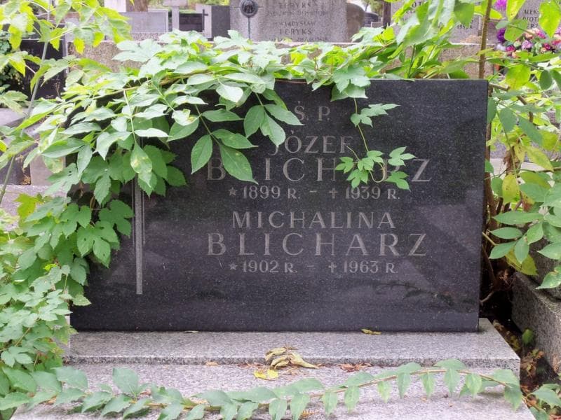 Zdjęcie grobu Zofia Blicharz (2)