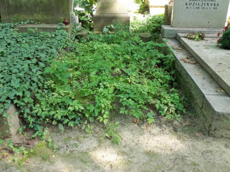 Zdjęcie grobu: Pole Grobowe