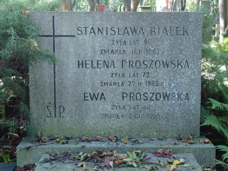 Zdjęcie grobu Stanisława Białek (2)