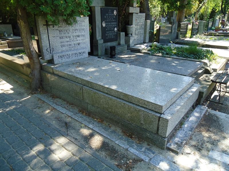 Zdjęcie grobu Bolesław Warszewski (1)