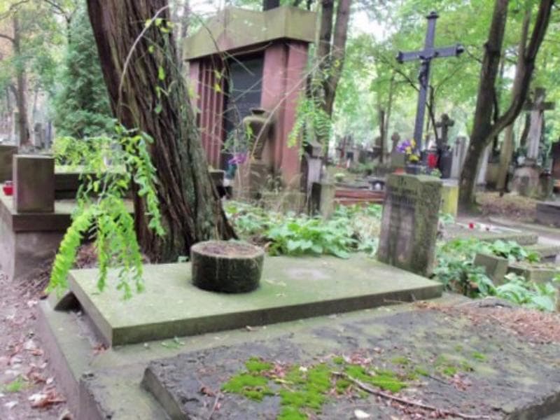 Zdjęcie grobu Jadwiga Bukowińska (1)
