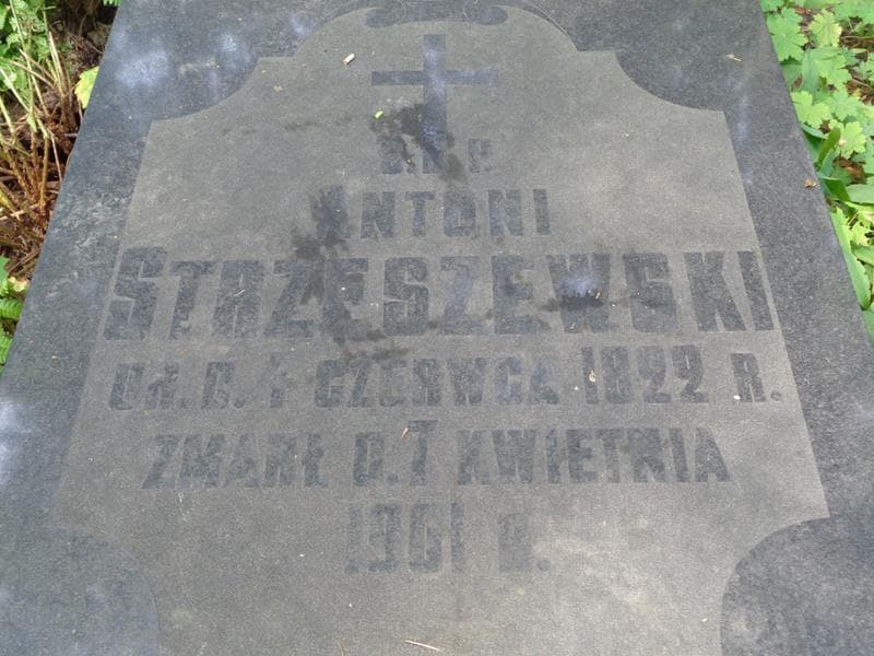 Zdjęcie grobu Antoni Stzreszewski (2)