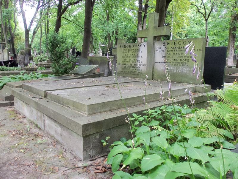 Zdjęcie grobu John Dove (1)