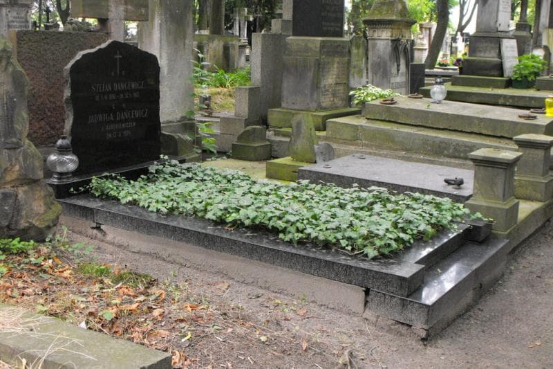 Zdjęcie grobu: Stefan Dańcewicz