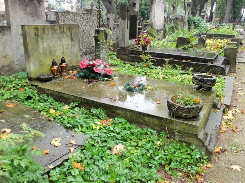 Zdjęcie grobu Elżbieta Pietraszkiewicz (1)