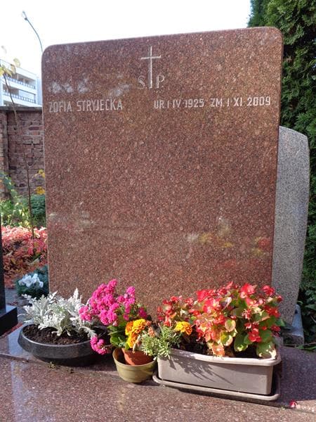 Zdjęcie grobu Zofia Stryjecka (2)