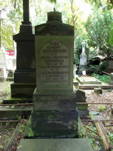 Zdjęcie grobu Antoni Czekliński (1)