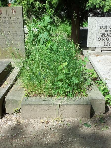 Zdjęcie grobu: Teodora Noskiewicz