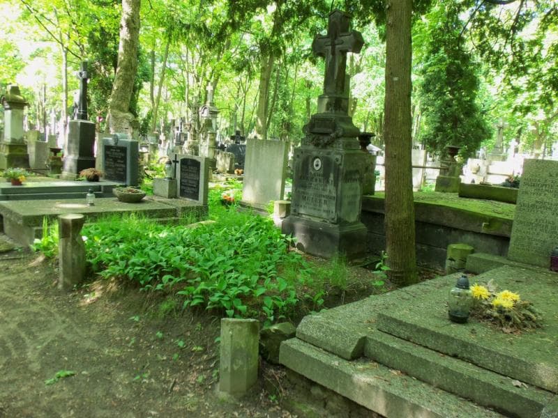 Zdjęcie grobu Wiktor Żuchowski (1)
