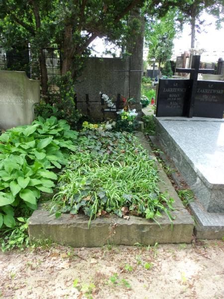 Zdjęcie grobu: Karol Olicki