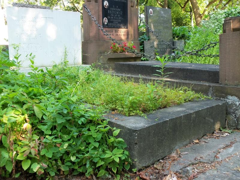 Zdjęcie grobu Wiktor Dębiec (1)
